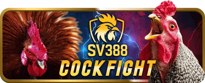 Ưu Đãi VIP betvnd88